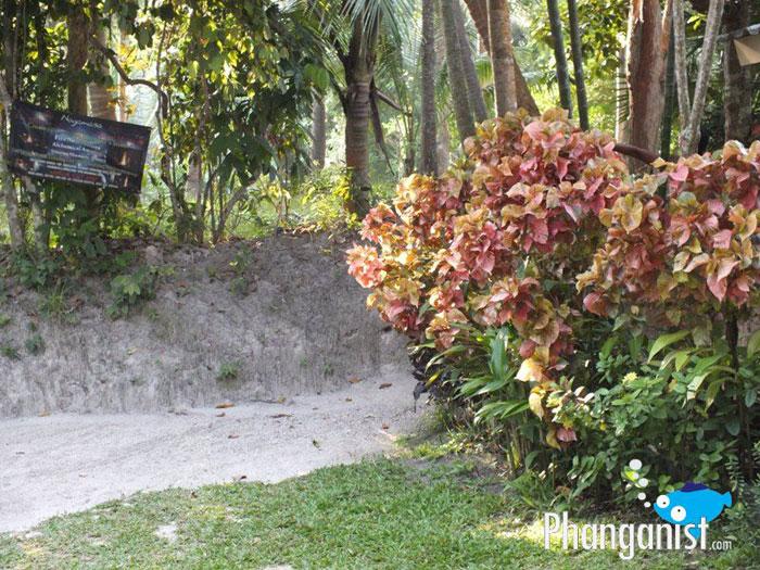 Wat Pho sauna Koh Phangan