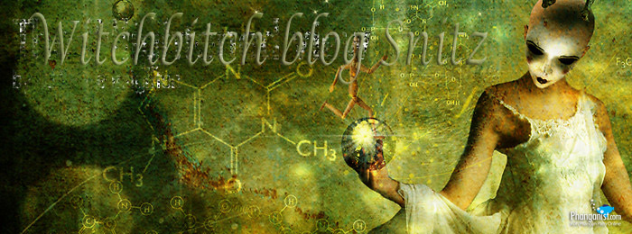 whichbich phangan blog party